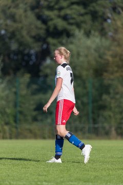 Bild 228 - wBJ VfL Pinneberg - Hamburger SV 2 : Ergebnis: 1:3